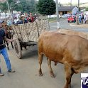 Encontro_de_Boi_de_Tapira_078