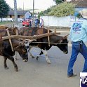 Encontro_de_Boi_de_Tapira_079