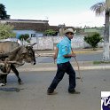 Encontro_de_Boi_de_Tapira_084