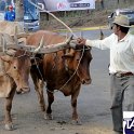 Encontro_de_Boi_de_Tapira_088