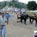 Encontro_de_Boi_de_Tapira_093