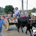 Encontro_de_Boi_de_Tapira_094