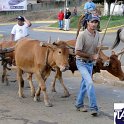Encontro_de_Boi_de_Tapira_097