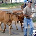 Encontro_de_Boi_de_Tapira_098