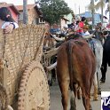Encontro_de_Boi_de_Tapira_102