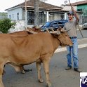 Encontro_de_Boi_de_Tapira_103