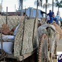 Encontro_de_Boi_de_Tapira_106