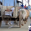 Encontro_de_Boi_de_Tapira_109