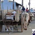 Encontro_de_Boi_de_Tapira_110