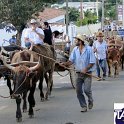Encontro_de_Boi_de_Tapira_112