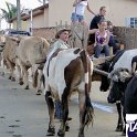 Encontro_de_Boi_de_Tapira_114