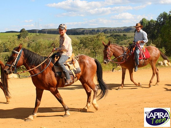Cavalgada_Sao_Sebastiao_2015_009