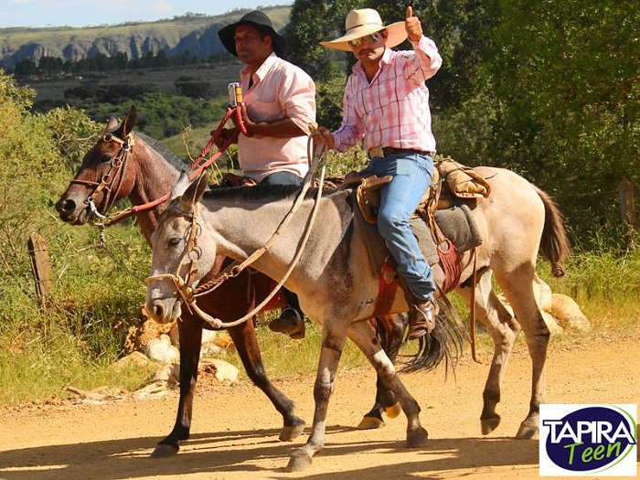 Cavalgada_Sao_Sebastiao_2015_032