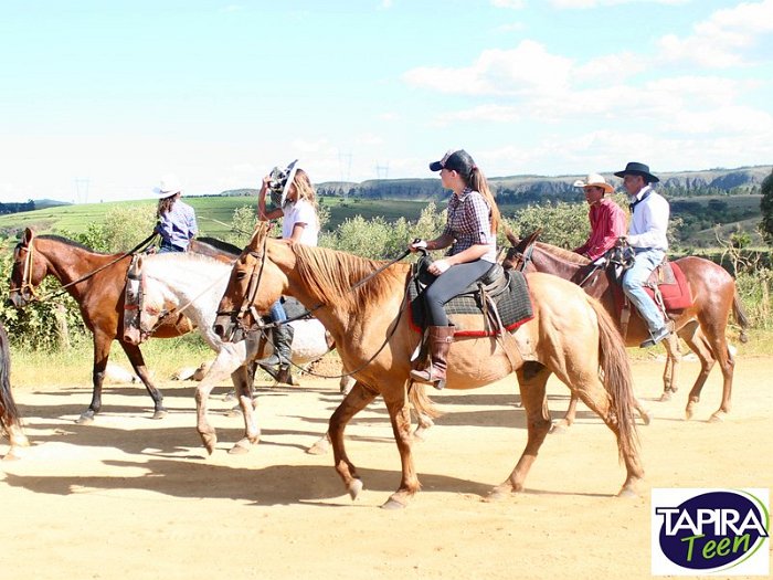 Cavalgada_Sao_Sebastiao_2015_039