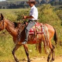 Cavalgada_Sao_Sebastiao_2015_018