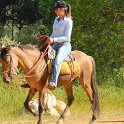 Cavalgada_Sao_Sebastiao_2015_048